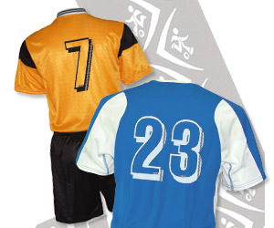 Soccer Jerseys - Sample Numbers