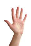 Raising Your Hand