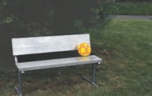 Soccer Benches - 7.5' with back