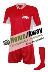 /images/uniforms/chelsea-front-large.jpg