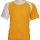 acevido-gold-white