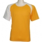 acevido-gold-white