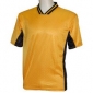 chelsea-gold-black