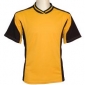 h23-gold-black
