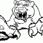 BEAR04