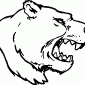 BEAR05