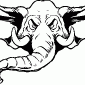 ELEPHANT02