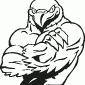 HAWK01