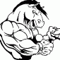 HORSE03