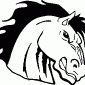 HORSE05