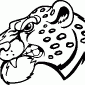 LEOPARD03