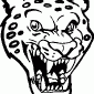 LEOPARD04