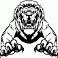 LIONS03
