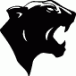 PANTHER02