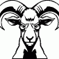 RAM01