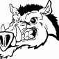 RAZORBACK03