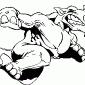 RHINO01