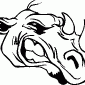 RHINO05