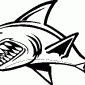 SHARK02
