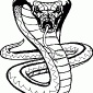 SNAKE02