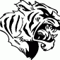 TIGER04