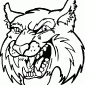 WILDCAT02