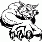 WILDCAT06