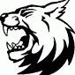 WILDCAT08