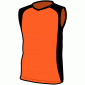 sandy-orange