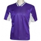 chelsea-purple-white