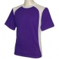 hudson-purple-white