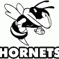 RUSH-HORNET