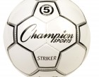 STRIKER5